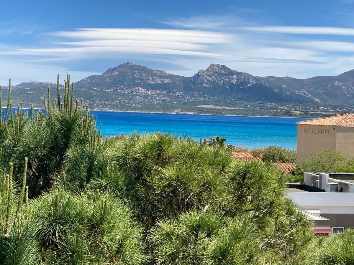 Corse Calvi Appt Cote Mer Zewnętrze zdjęcie
