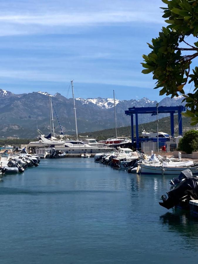 Corse Calvi Appt Cote Mer Zewnętrze zdjęcie
