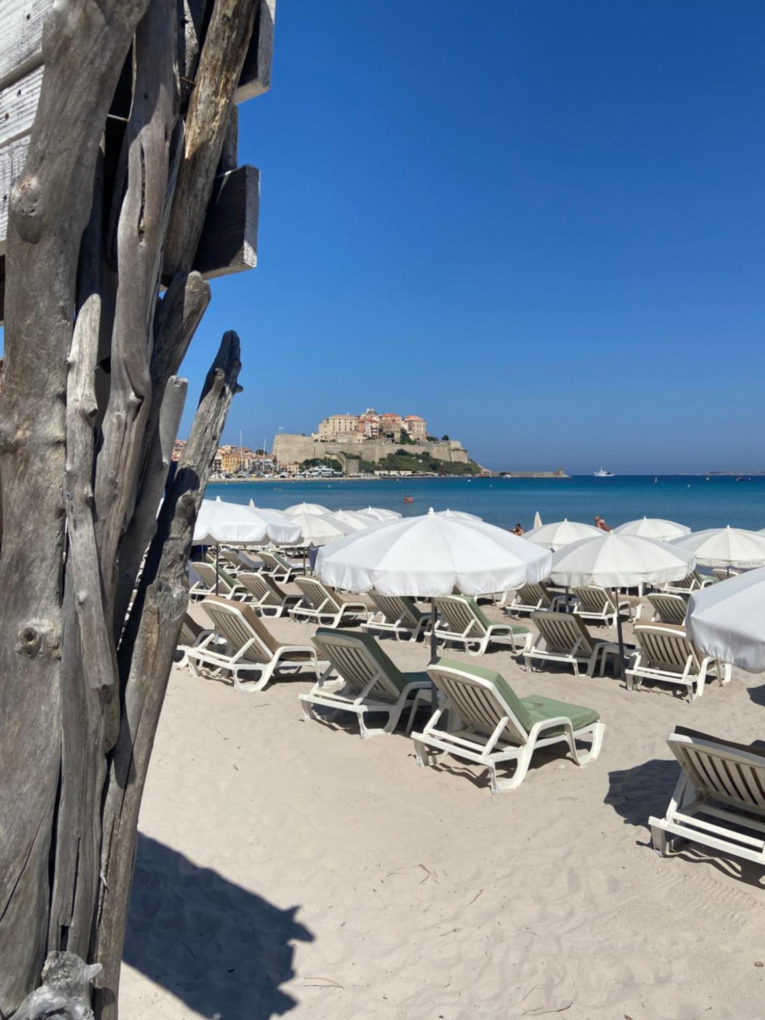 Corse Calvi Appt Cote Mer Zewnętrze zdjęcie