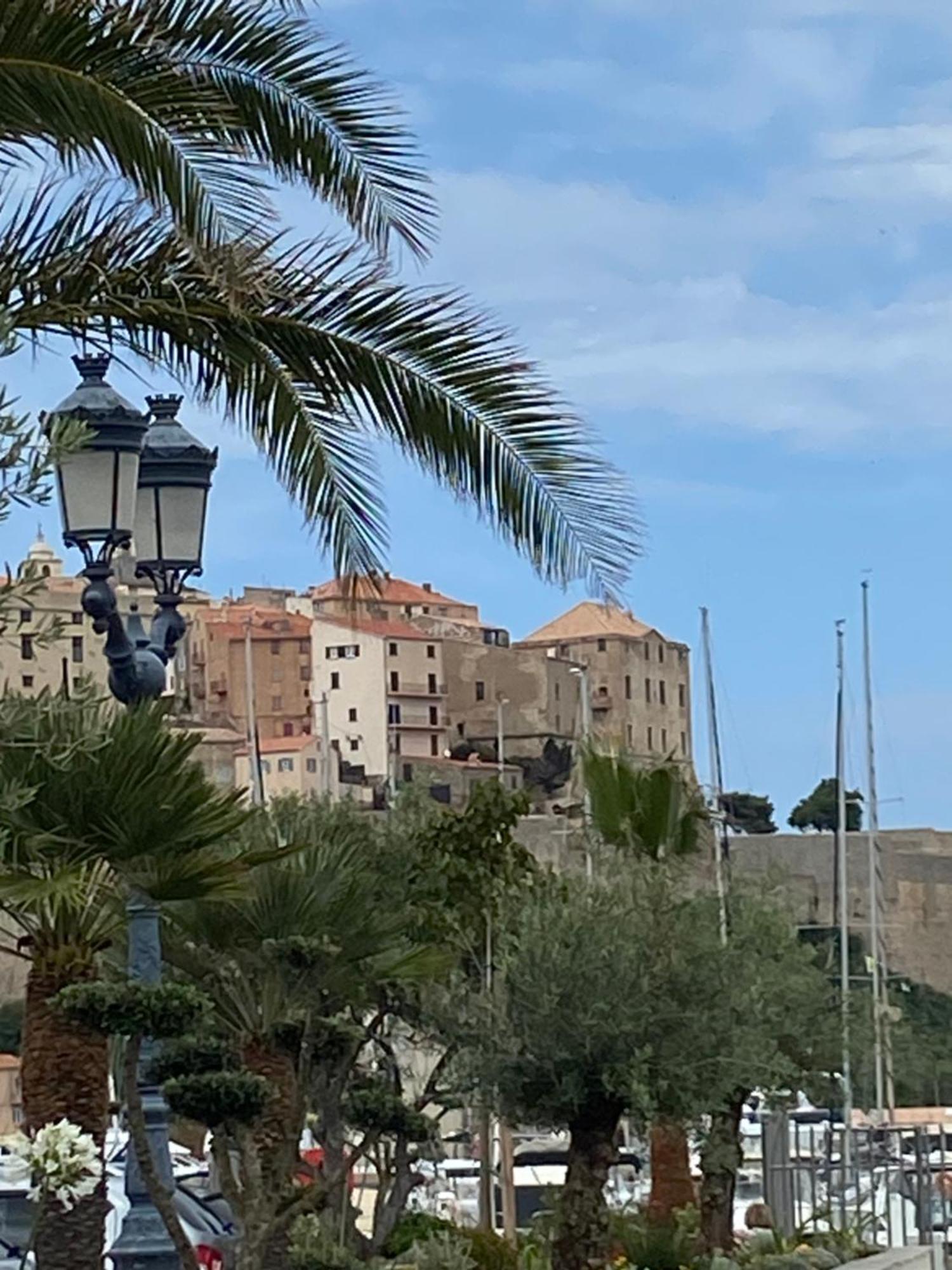 Corse Calvi Appt Cote Mer Zewnętrze zdjęcie